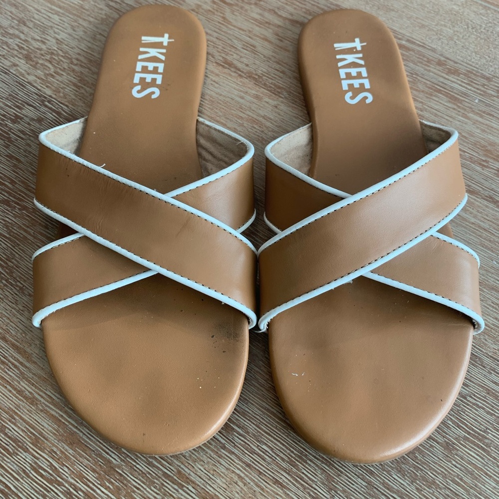 TKEES Dan Slides